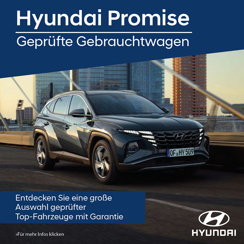 Hyundai Promise Vorteile