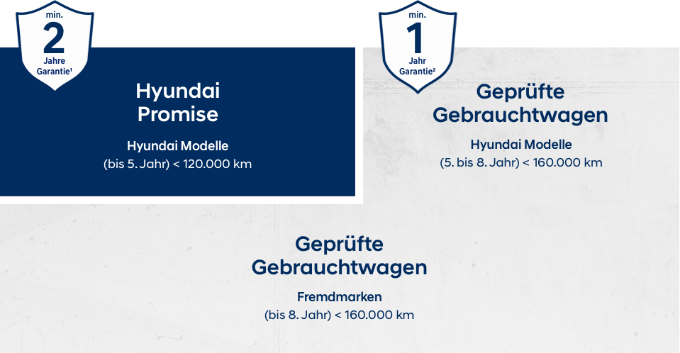 Hyundai Promise Vorteile
